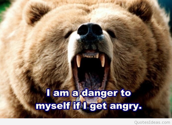 Angry Bear Quotes Quotesgram