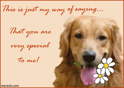 Your Special To Me Quotes Quotesgram