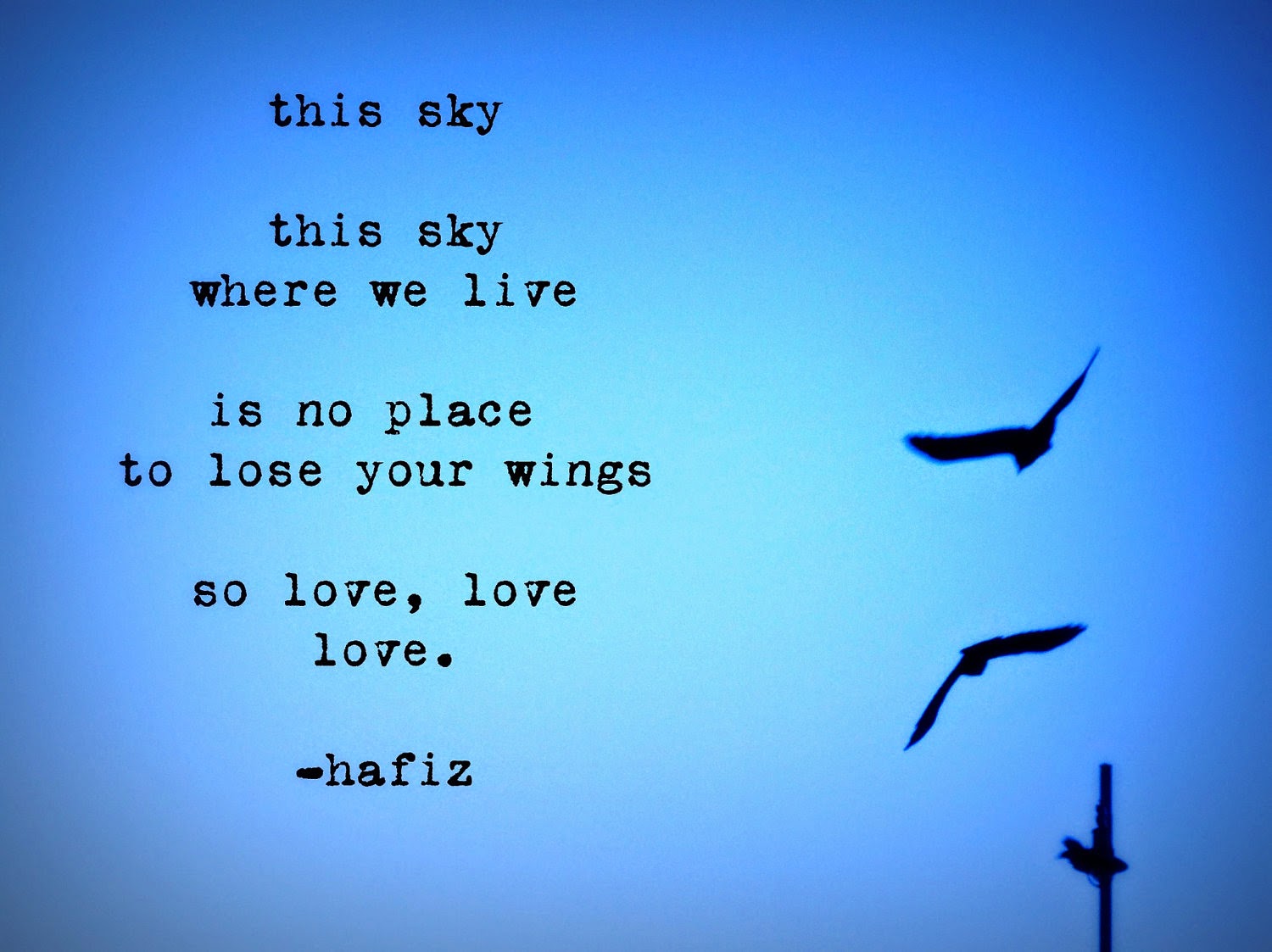 Hafiz Poetry Quotes. QuotesGram