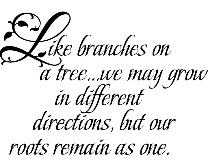 Quotes about roots and branches quotesgram