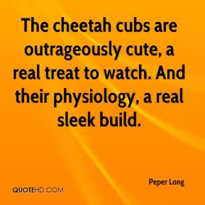 Quotes About Cheetahs. QuotesGram