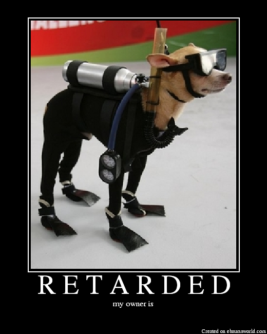 Retarded Dog Video