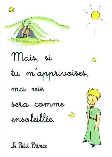 Le Petit Prince Quotes In French Quotesgram Le Petit Prince Quotes In French Quotesgram