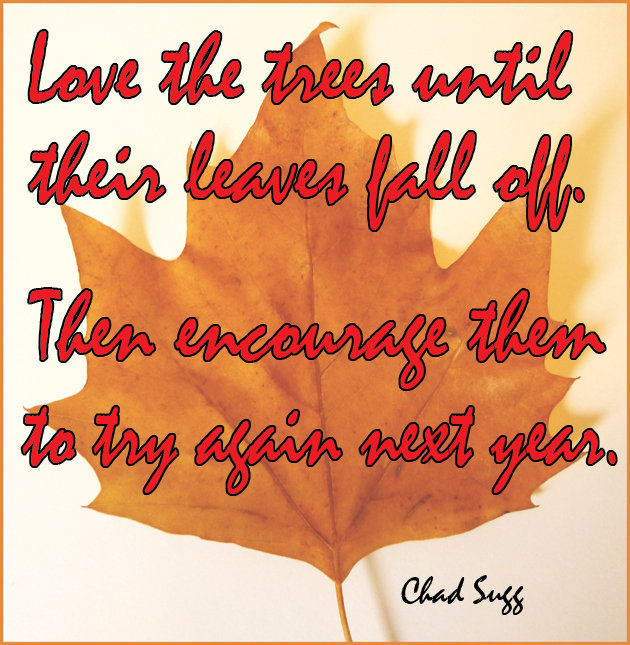 Fall Leave Colors Quotes. QuotesGram