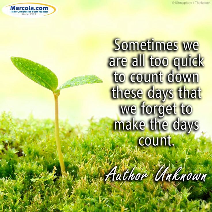 seize the moment seize the moment