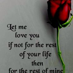 My Future Wife Quotes Quotesgram My Future Wife Quotes Quotesgram