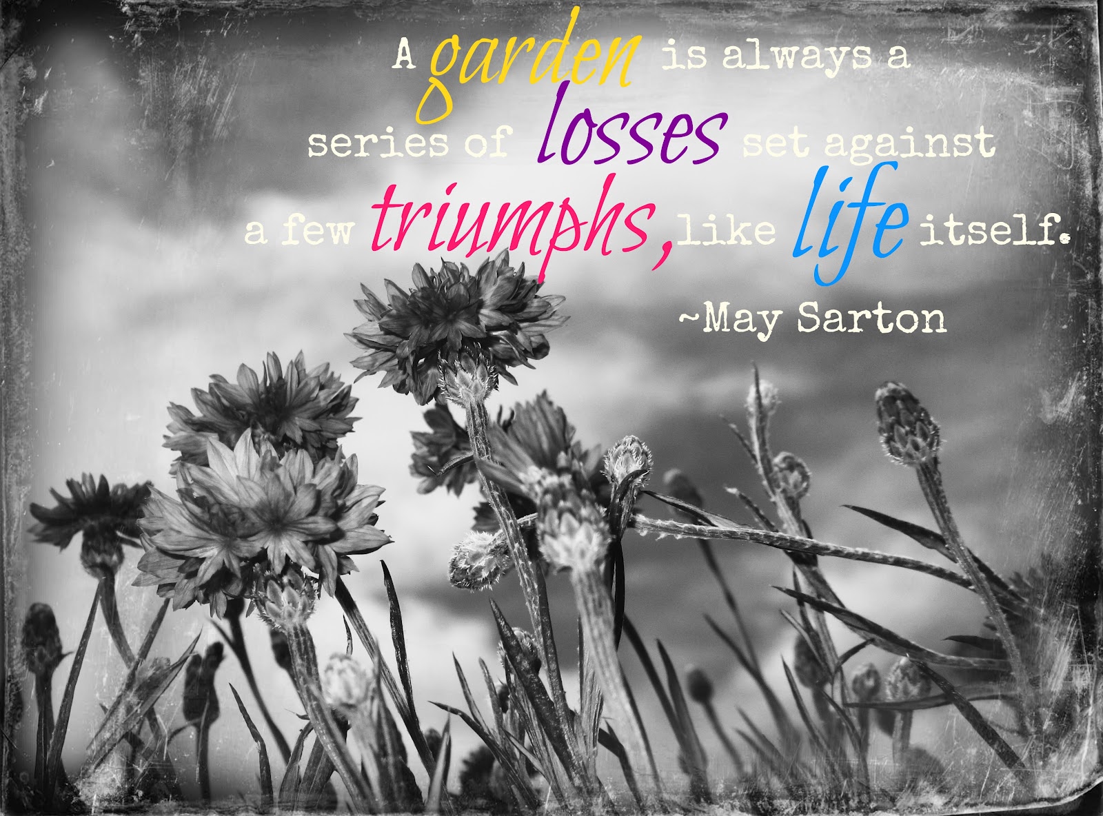 Love Friday Quotes