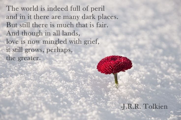 Quote on love and unity