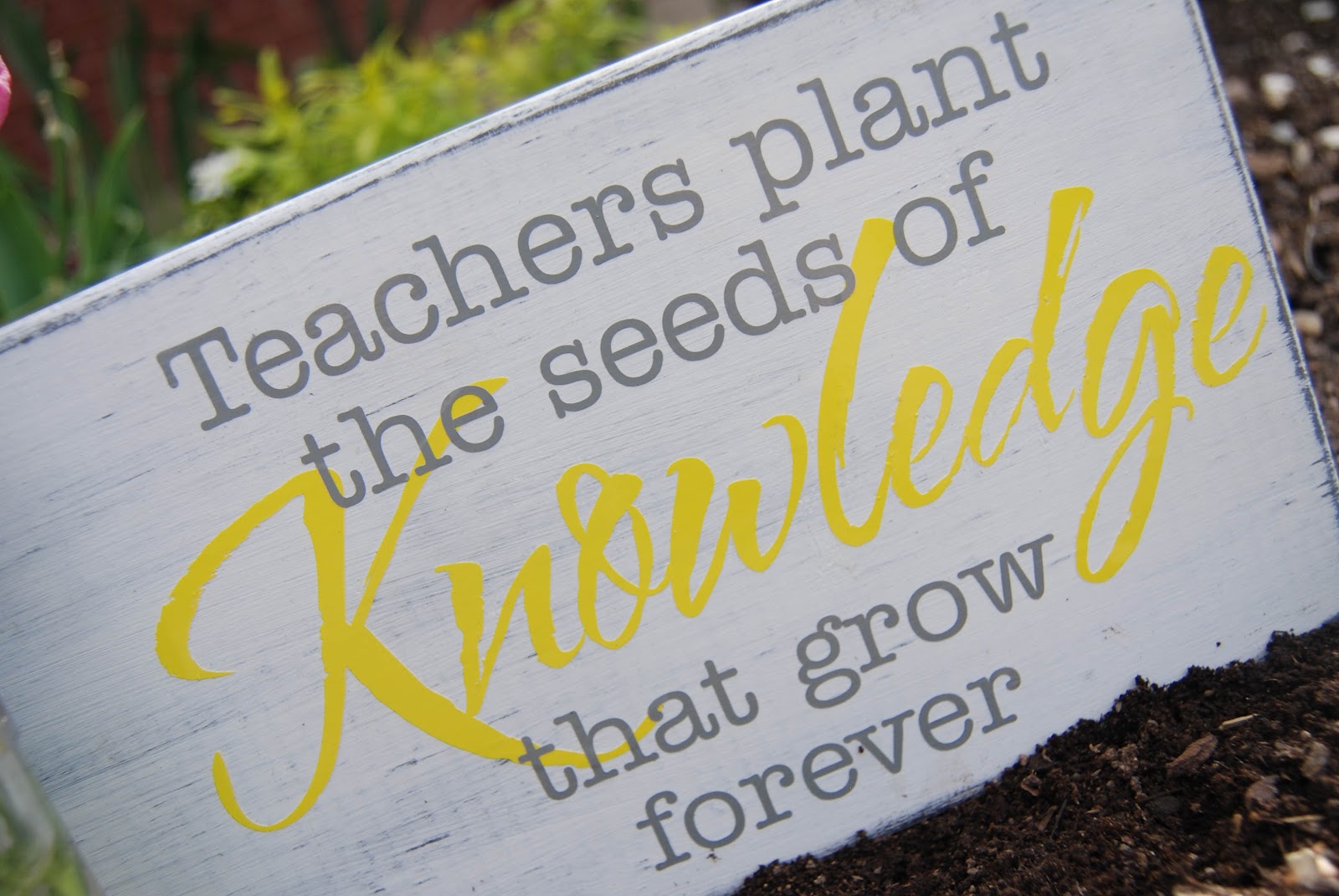 cute teacher appreciation quotes quotesgram