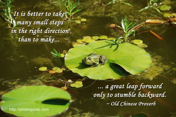 Quotes About Taking Small Steps. QuotesGram