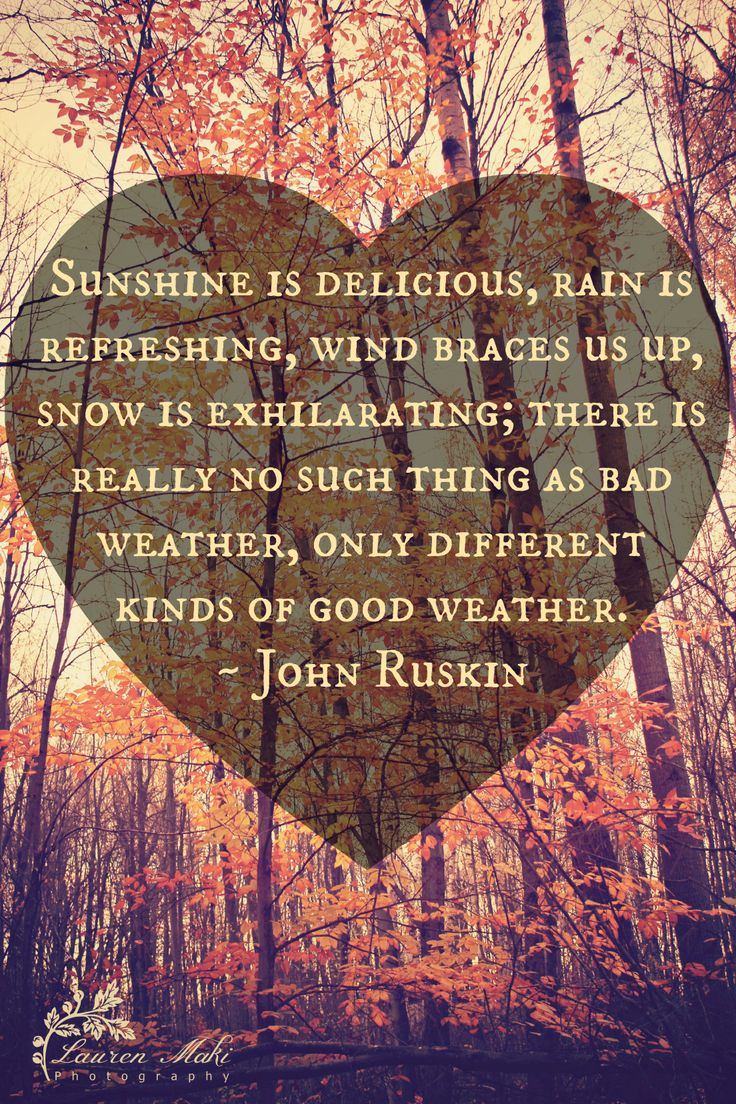 Sunshine and Rain - Wikipedia