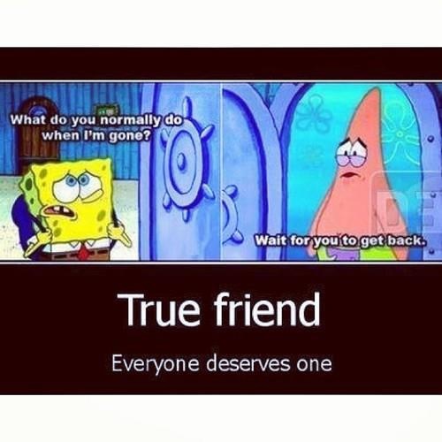 Quotes About Friendship By Spongebob
