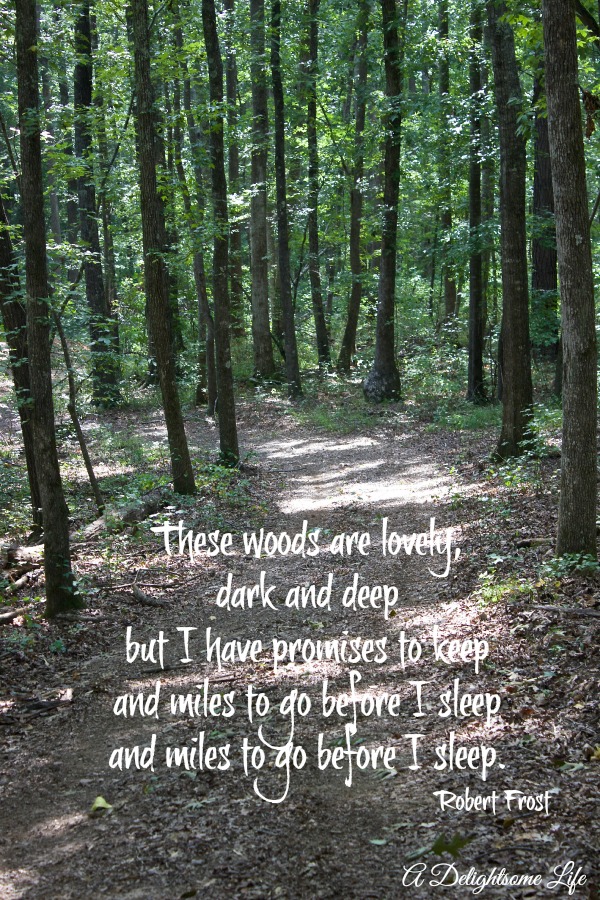 Life Quotes In The Woods. QuotesGram