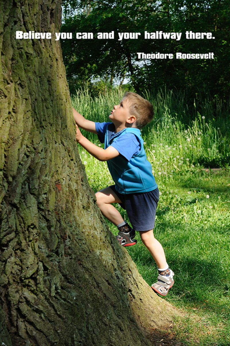 Quotes About Climbing Trees. QuotesGram