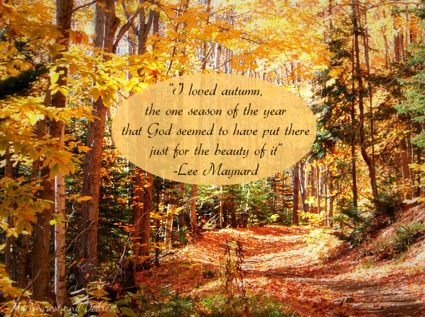 Colors Of Autumn Quotes. QuotesGram