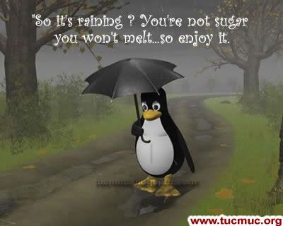 Raining Day Quotes Funny. QuotesGram