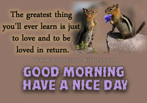 Safe Trip To One Love Quotes. QuotesGram