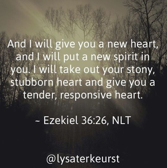 Cool Bible Quote Image 1