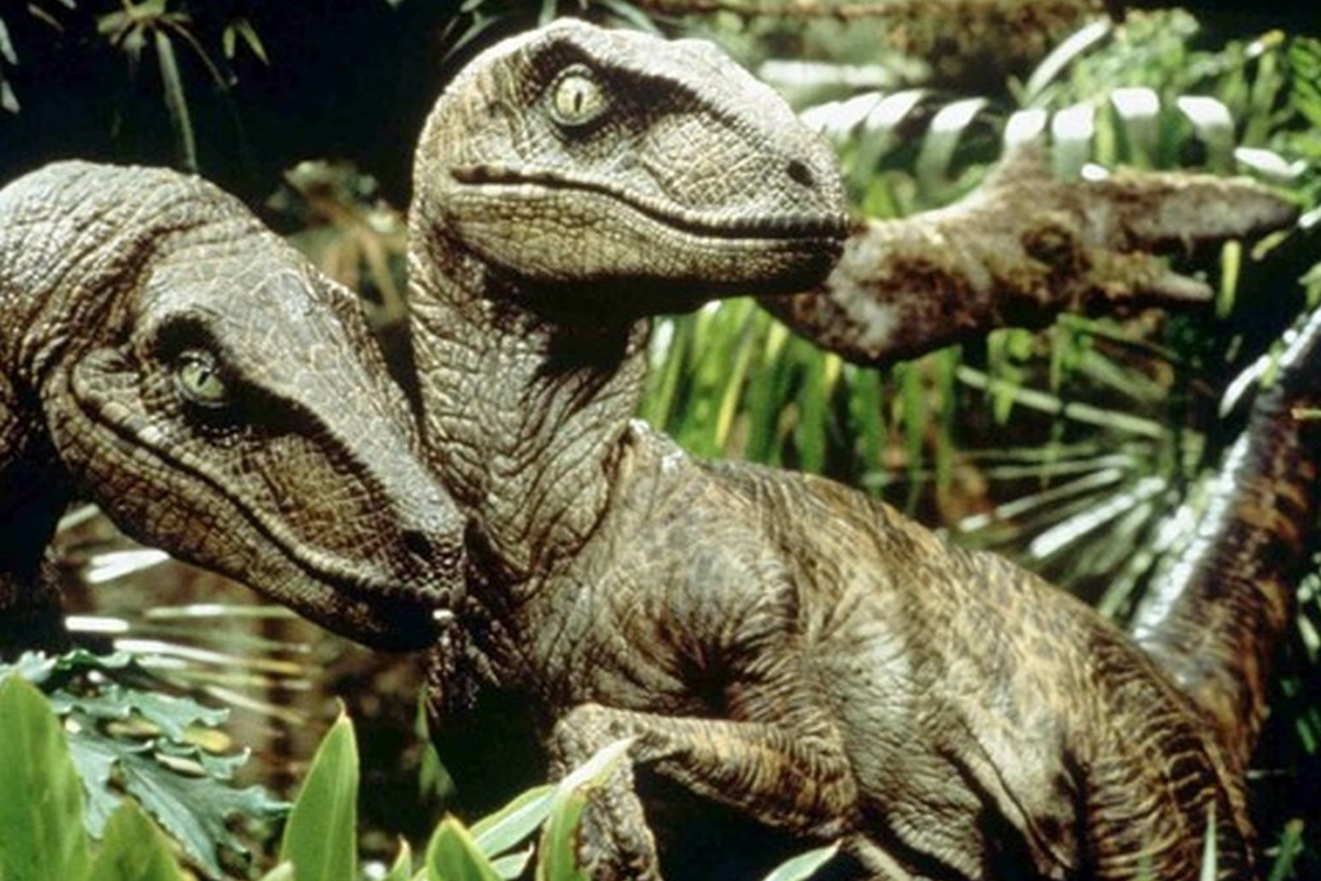 Jurassic Park Velociraptor Quotes Quotesgram 
