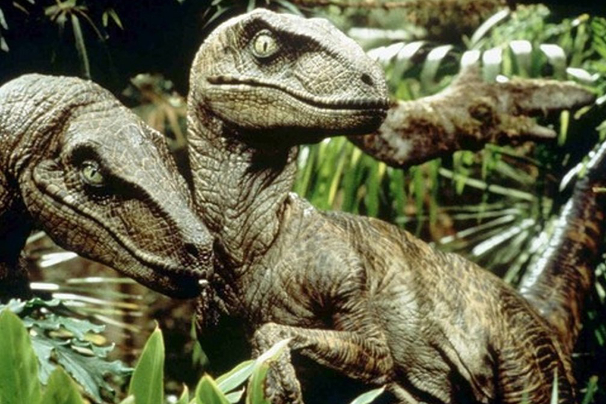 velociraptor jurassic park wrong