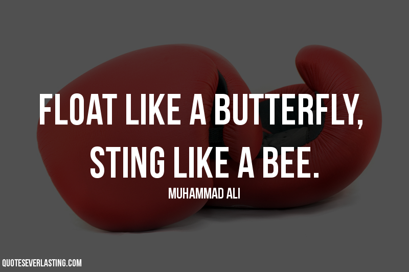 Famous Quotes From The Sting Quotesgram