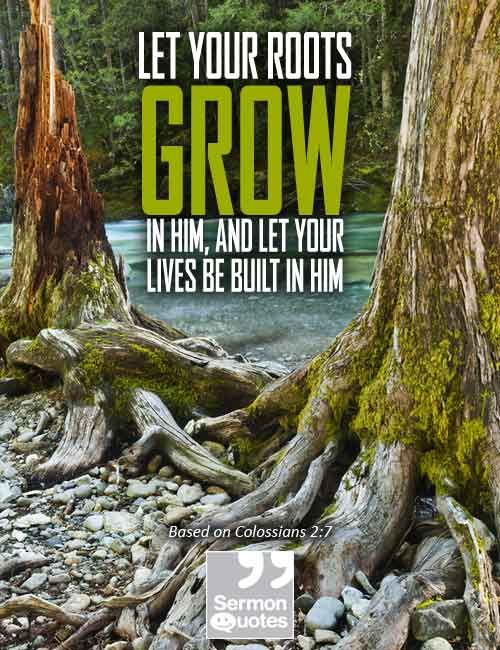 Remember Your Roots Quotes. QuotesGram