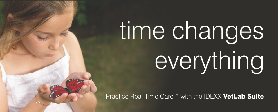 Quotes Time Changes Everything QuotesGram