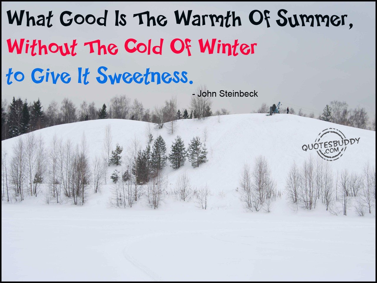 Cold quotes quotesgram