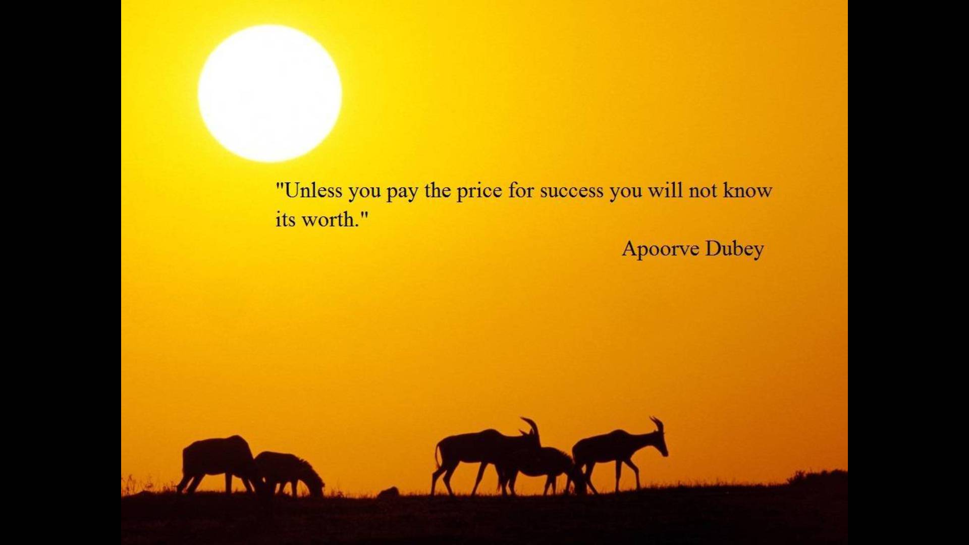 Success Quotes Wallpaper Quotesgram