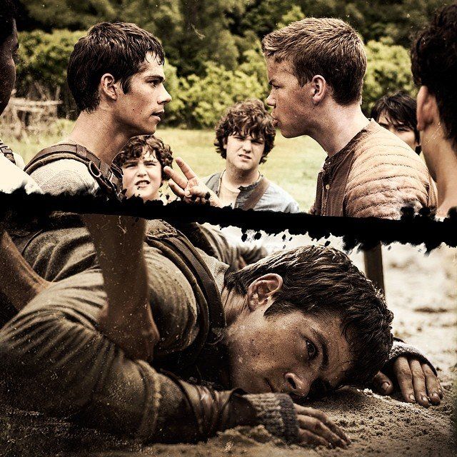 Chuck From Maze Runner Quotes Quotesgram