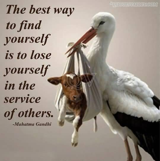 1401098771 the best way to find yourself is to lose yourself in the service of others