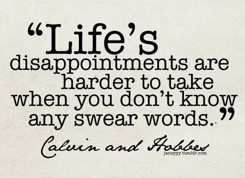 Calvin And Hobbes Quotes. QuotesGram