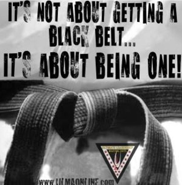 Best Black Belt Quotes of the decade Check it out now 