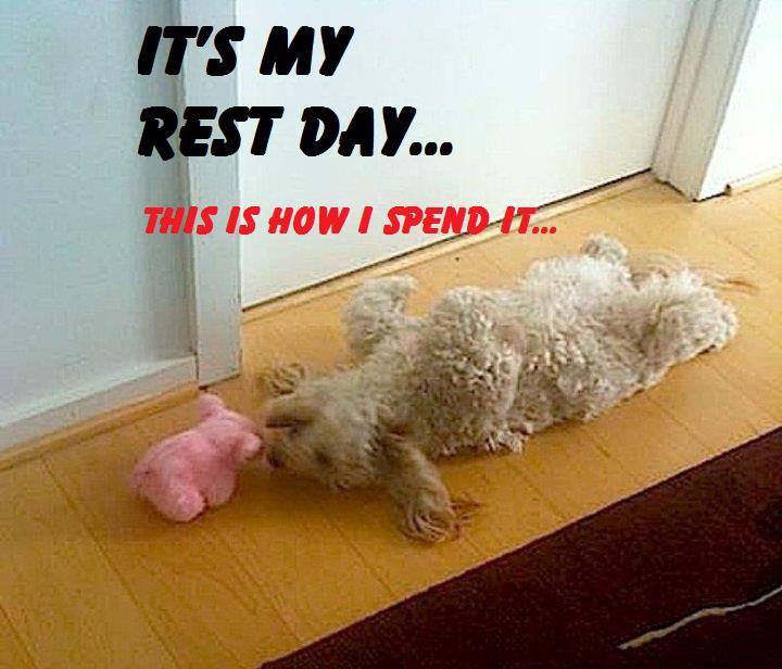 Funny Quotes About Rest QuotesGram