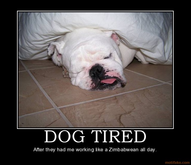 Funny Quotes About Being Tired QuotesGram