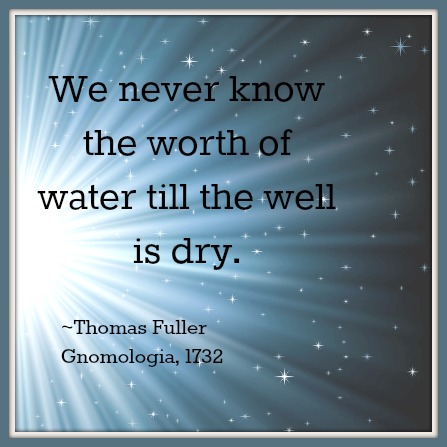 It s well worth. Thomas Fuller we never know the Worth of Water till the well is Dry. We never know the value of Water till the well is Dry.. Water quotes. Quotes about Water.