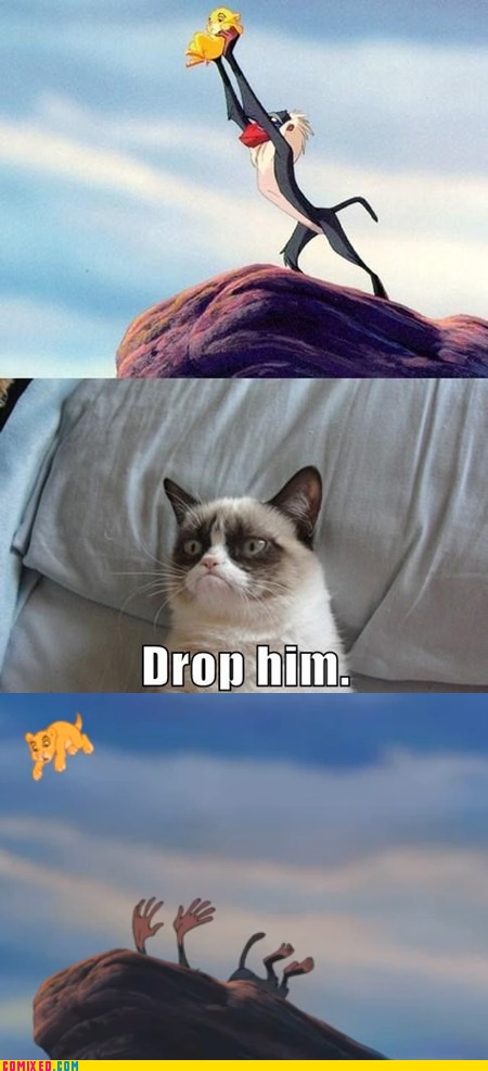 grumpy cat titanic far is fine