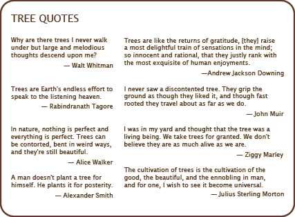 Tree Of Life Quotes And Sayings. QuotesGram