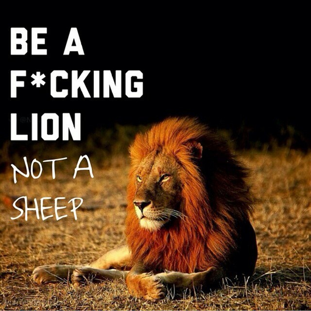 Follow The Herd Quotes. QuotesGram