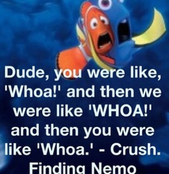 Nemo Turtle Quotes. QuotesGram