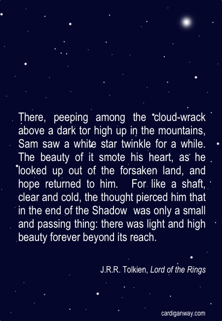 Lotr Quotes From Books. QuotesGram