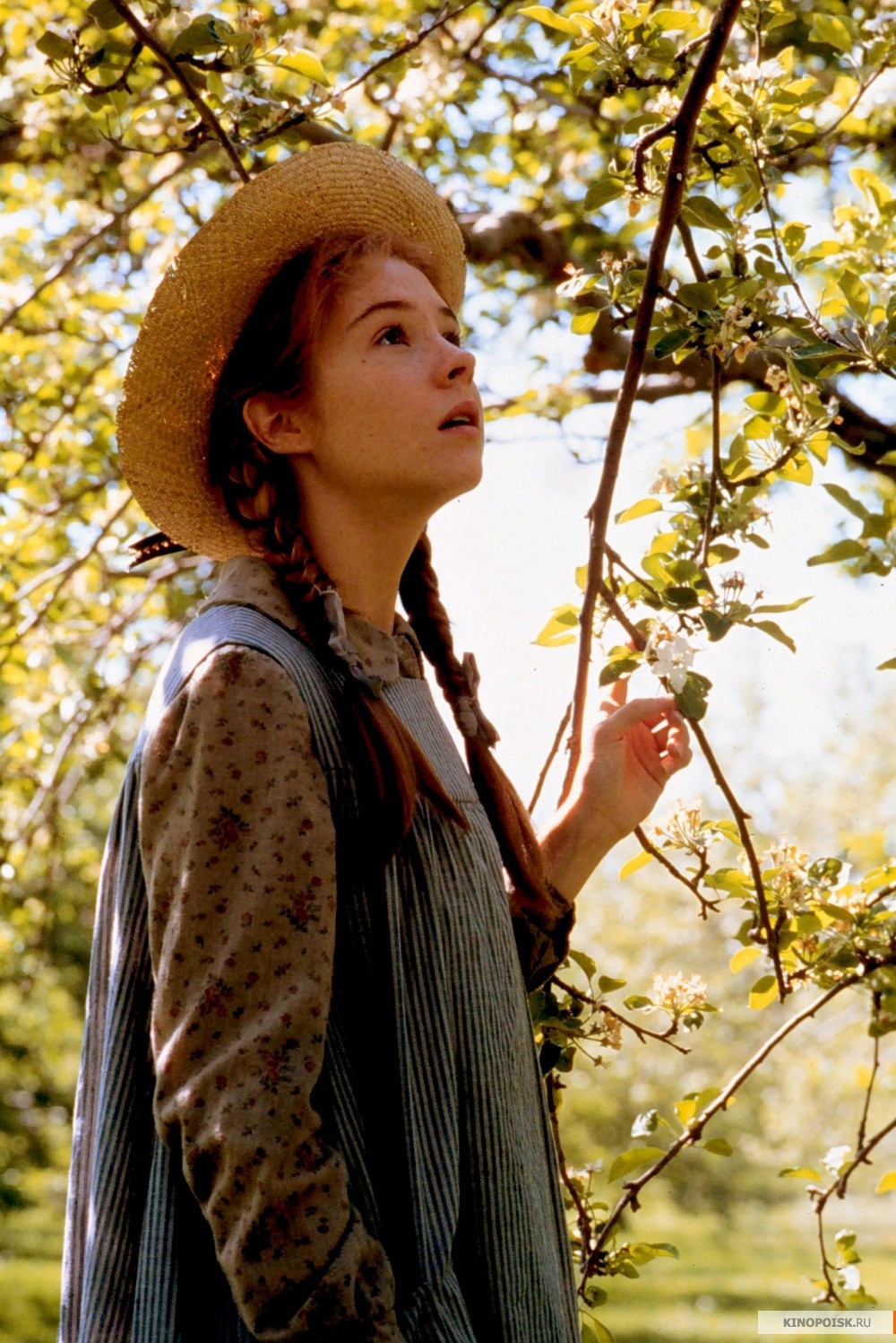 Anne Of Green Gables Movie Quotes. QuotesGram