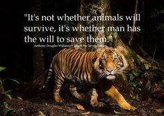 Quotes About Saving Animals. QuotesGram