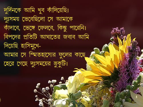  Bengali  Quotes In English QuotesGram
