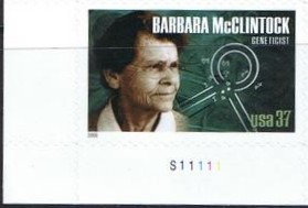 Barbara Mcclintock Quotes Is Nown For. QuotesGram