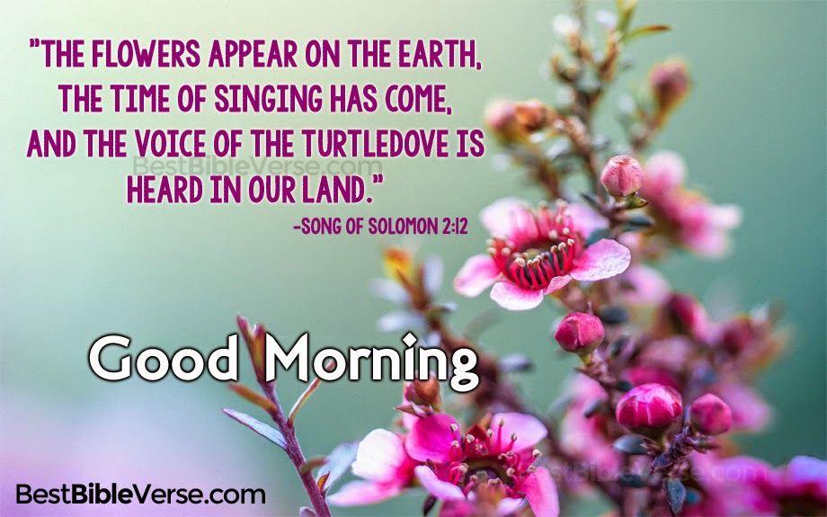 images Good Morning Verses With Pictures good morning biblical quotes quotesgram