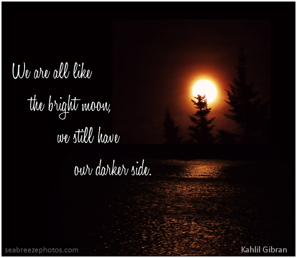 Quotes About The Dark Side Quotesgram