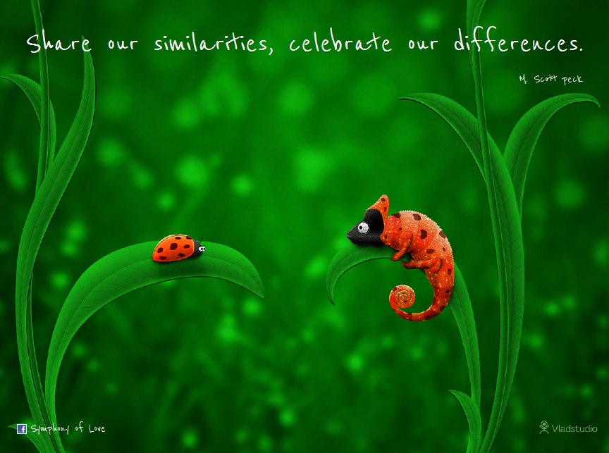 Celebrating differences quotes quotesgram