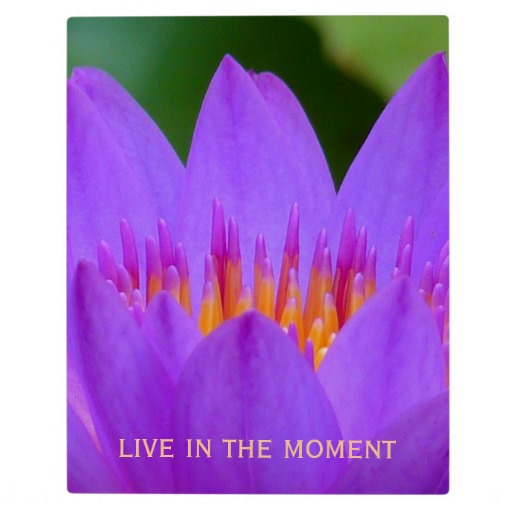 Purple Flowers Quotes. QuotesGram