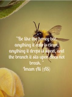 Imam Hussain Quotes In English. QuotesGram